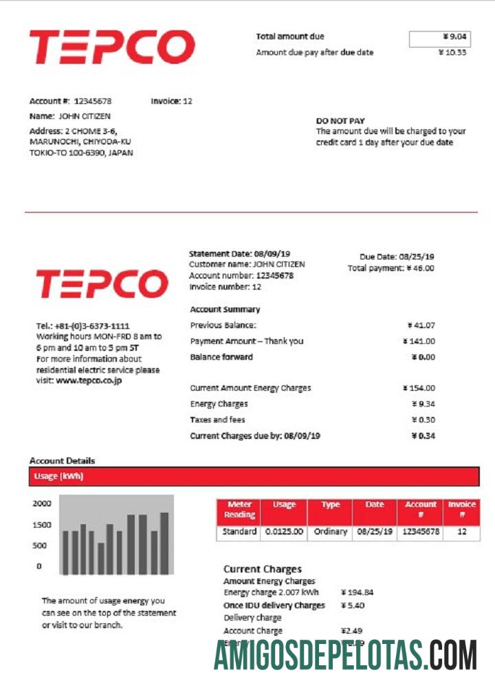 Para baixar modelo de conta de serviços públicos de eletricidade da Japan Tokyo Electric Power Company em formato Word e PDF